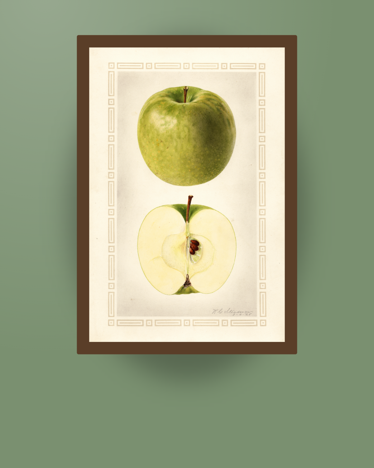 USDA Granny Smith Apple Print